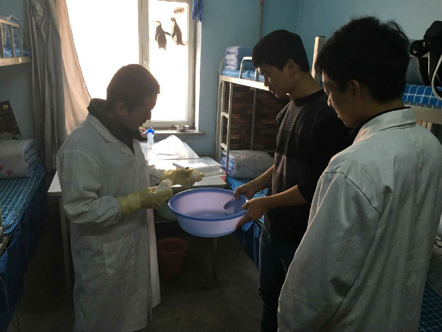 生命消杀照片.jpg