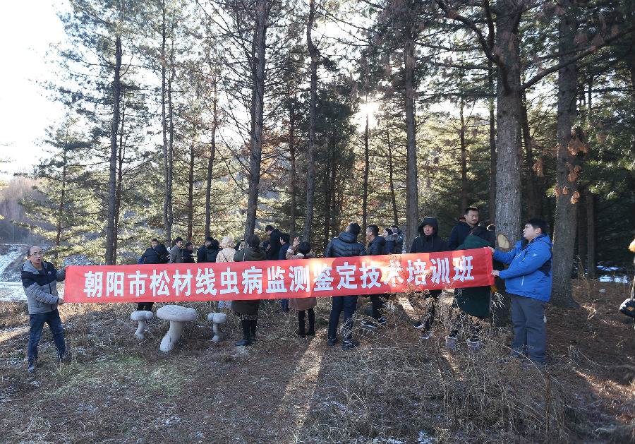 QQ图片20191202131708.jpg