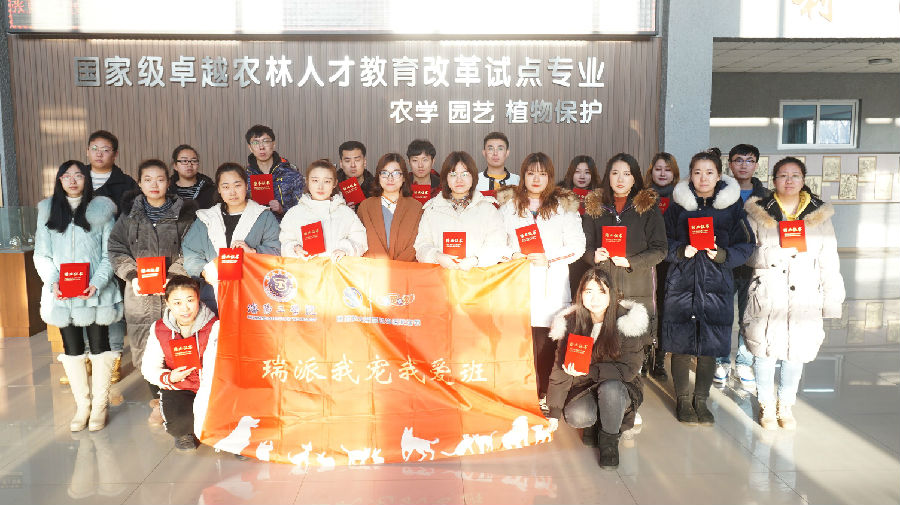 QQ图片20190109083857.jpg