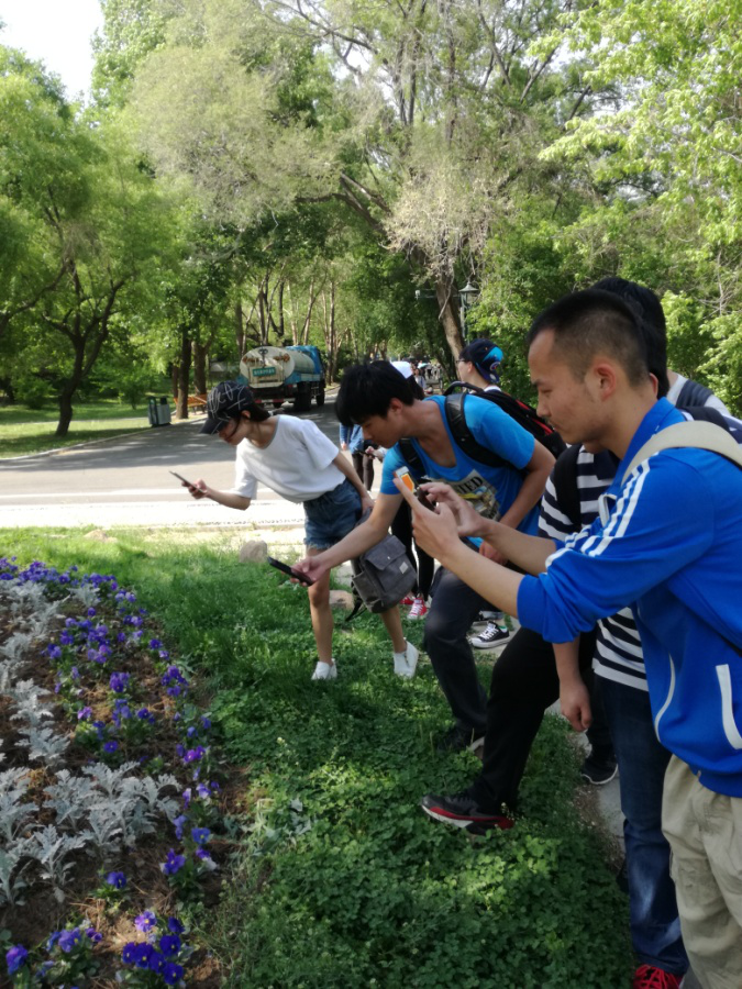 图片8.png